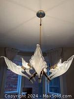 Chandelier hanging from ceiling showing six variegated white glass lily petal shades and brass arms.