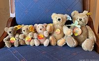 Group shot of all five bears on chair
