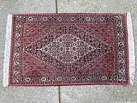 Full view of rectangular rug showing central medallion, red field, white fringe edges.