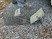 Large metal animal trap placed on gravel, showing wire setup and cage structure.