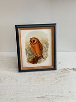 Front view of owl print in wooden frame with black and natural wood accents.