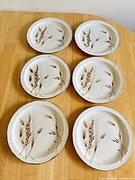 Set of six vintage Wild Oats Stonehenge speckled stoneware plates arranged on table top, showing front design of wheat stalks and seed heads in brown on cream speckled surface.