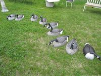 Nine duck decoys placed on grass showing overall condition and variety in size and paint detail.