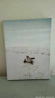 Front view of the canvas picture showing the baby sea turtle on a beach.