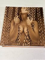 Front cover of the Pirelli Complete Calendar Book showing a sepia photo of a topless woman behind chains.