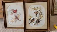 Both framed prints side by side showing birds and matting in wooden frames.