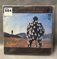 Front cover of Pink Floyd vinyl record "Delicate Sound of Thunder" showing artwork of man covered in light bulbs in a landscape.