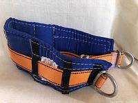 Close-up front view showing orange strap threaded through blue padded safety belt with visible white stitching and metal D-rings.