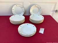 Full lot view showing 9 soup or pasta bowls stacked in front and 10 dinner plates stacked behind on red cloth.