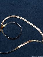 Chain coiled on blue background showing overall style and pattern