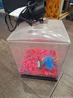 Photo of small clear plastic fish tank with colorful gravel and black filter unit resting on top.