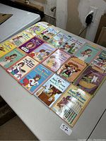 Photo showing 17 Junie B. Jones children’s books laid out on a table, displaying colorful illustrated covers.