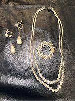 Full view of necklace, brooch, and earrings laid on black background