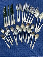 Full view of the flatware laid out on blue padding, showing knives, forks, teaspoons, dessert forks, and serving spoons all with floral handle pattern