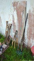 Full view of assorted garden tools leaning against a wall including shovels, rakes, trimmers, and axes