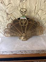 Front view of vintage brass fireplace cover with fan design and handle