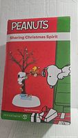 Front of retail box showing Peanuts Sharing Christmas Spirit lighted accessory featuring Snoopy and Woodstock.