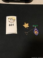 Photo of two pins side by side: a rectangular green bar with chain connecting to a blue and red enamel Newcastle Area School of Nursing medal pin, and a detailed sterling silver maple leaf pin.