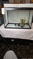 Front view of the empty 20 gallon fish tank aquarium on a white cloth-covered table with artificial plants inside.