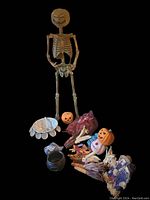 Full view of the tall skeleton with foam pumpkin head and assorted Halloween decorations on the floor including punch bowl, pumpkins, masks, and corncobs.