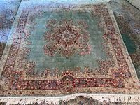 Full view of the oriental rug with visible central medallion and patterned border.