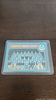 Front view of 79-80 OPC Toronto Maple Leafs team photo hockey card in plastic sleeve on wood surface.
