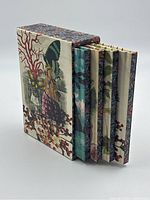 Side view of four notebooks in decorated slipcase showing spine and slipcase design with coral and wing motifs.