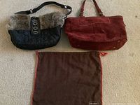 Photo showing both handbags and the Coach branded duster bag spread on floor.