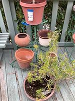 Close up showing green metal tiered plant stand holding multiple pots including a large red plastic pot with a tree, smaller terracotta pots, and a bushy plant pot.