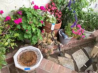 Wide view of the birdbath next to several potted plants, showing colors and types of plants and planters.