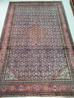 Top-down view of entire rug showing overall pattern, borders and color palette.