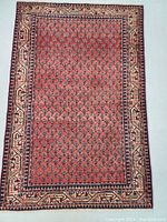 Full top view of rug showing overall pattern, borders and condition