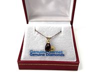 Full view of pendant on chain inside open display box showing overall design and presentation.