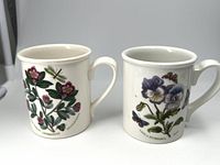 Two ceramic mugs with botanical and insect illustrations, showing the overall designs of the lot