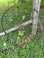 Full view of the antique metal wagon wheel reclining on wooden fence beside ground with plants, showing entire wheel and its diameter.
