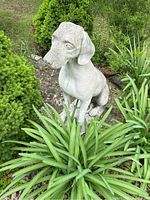 Front view of the cement dog statue among garden plants showing detailed facial features and body posture.