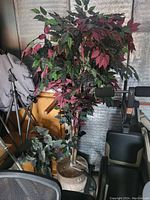 Large artificial plant with variegated green and pink leaves in a white pot surrounded by other household items.