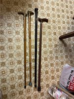 All four walking sticks laid out on a patterned tile floor, showing overall length and condition.