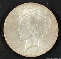 Obverse side of the 1922 Peace Silver Dollar showing Lady Liberty profile with 'LIBERTY', 'IN GOD WE TRUST', and date '1922'.