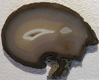 Polished thin slice of geode rock showing brown, beige, and white concentric banding on light fabric background.