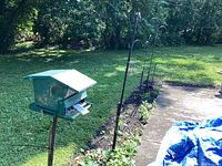 Photo of green bird feeder mounted on metal stake outdoors in garden, surrounded by grass and garden bed.