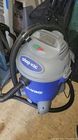 Front angle of the blue and gray Shop Vac showing hose, handle and power button.