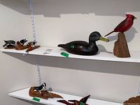 Shelf top row showing group of three small grey birds, mallard decoy and red cardinal