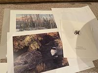 Four prints laid out on carpeted floor showing bird and wildlife art including one with loon and one in forest landscape