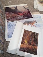Six unframed wildlife and bird prints spread on carpet floor showing various natural scenes and some signatures
