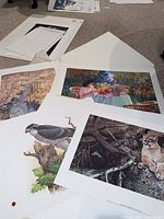 Four unframed wildlife and nature art prints spread on the floor showing different scenes including a bird and a woman at a table.