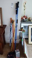 Photo of four walking aids including umbrella cane with brass snake head, wooden cane, two blue trekking poles, and some other items at the base