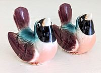 Close-up angled view of the two ceramic bird salt and pepper shakers showing colors and details