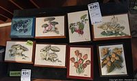 Top view of eight 3D floral and plant themed art plaques of various flower and mushroom designs in wooden and colored frames.