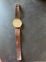 Full length view of watch on dark surface showing overall appearance, strap wear.